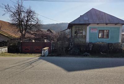 Casă cu 3 camere în Costești - 2