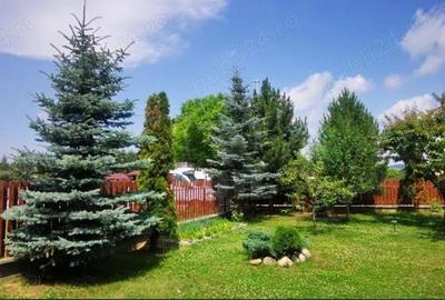 Casă cu 4 camere cu Teren 487 Mp în Gilău - 2