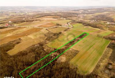 Spațiu comercial, în Ceica - 9