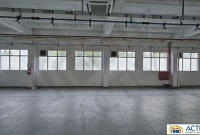 Hala de inchiriat Cisnadie Sibiu - 5