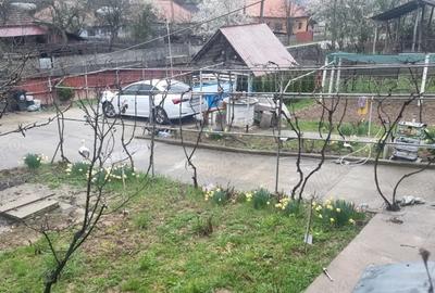 Casă cu 2 camere în Dănești - 3