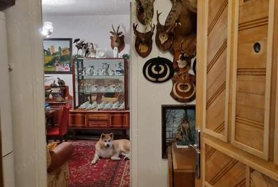 Apartament cu 3 camere semidecomandat în Govândari - 1