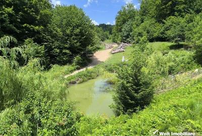 Casa de vacanta, cu lac, 5640 mp teren, Huta, com. Chiuiesti, jud. Cluj - 33