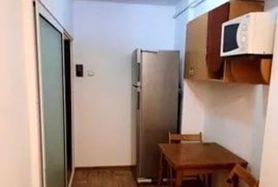 Apartament cu 1 camera, PET FRIENDLY, zona Alexandru Cel Bun - 6