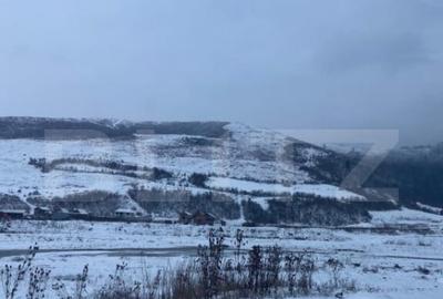 Casă cu 4 camere cu Teren 1600 Mp în Tărlungeni - 5