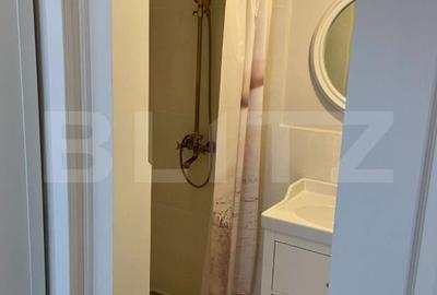 Apartament cu 2 camere decomandat, mobilat în Horea - 6