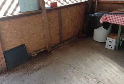 Vand apartament 3 camere - 10