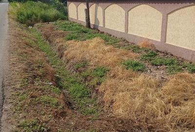 Casă cu Teren 1465 Mp în Dulceanca - 6