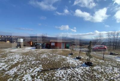 Teren în Ciurea - 1