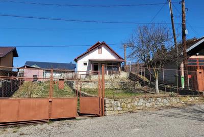 Casă cu 3 camere în Pietroșița - 8