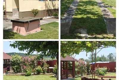 Casă cu 2 camere în Central - 4
