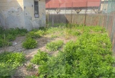 Oportunitate-Casa cu 3 camere, 110 mp, 450 mp teren, zona ultracentrala - 4