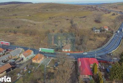 Teren de 7400 mp, în Căpușu Mare - 3