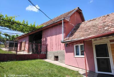 Casă cu 2 camere în Viișoara - 5