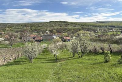 Casă cu 3 camere în Feiurdeni - 4