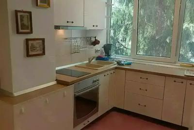 Apartament cu trei camere zona Cri?an - 15