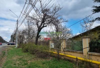 Vanzare lot de 550 mp -  Balotesti (DN1) - 4