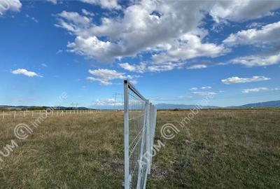 Teren de 4200 mp, în Piața Cluj - 3