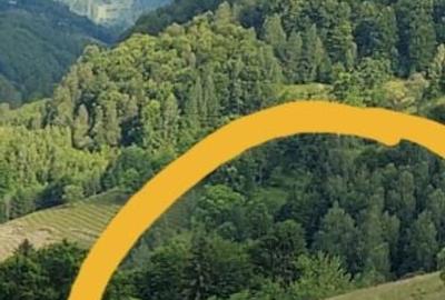 Teren de 7200 mp, în Peștera - 4