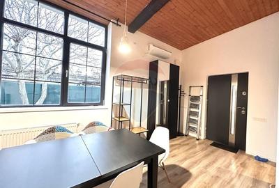 Casa/apartament tip studio/curte de inchiriat Parc Bazilescu - 8