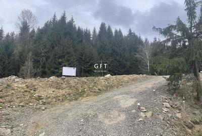 Teren de 3039 mp, în Colibița - 3