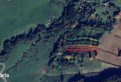 Teren de 1600 mp, în Sadu