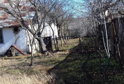 Casă cu 3 camere în Păduroiu din Vale - 6