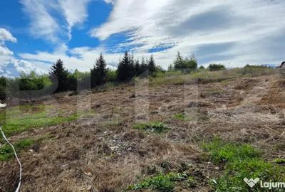 Teren de 680 mp, în Central - 1