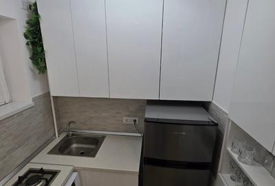 Decebal, Rond Alba Iulia, pe Moise Nicoara, renovata, mobilata si utilata lux - 9