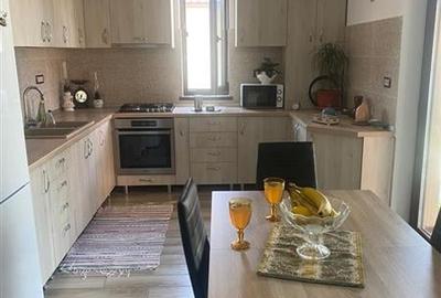 2 case in aceeasi curte Mosnita Veche+terasa - 14
