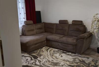 Apartament 1 camera Lunca Cetatuii - 5