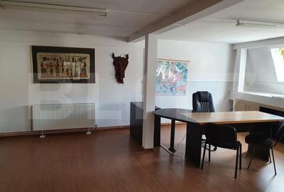 Spatii comerciale + Apartament, 313mp, zona Semicentrala - 4