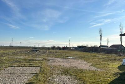 Spațiu comercial, în Curtișoara - 5