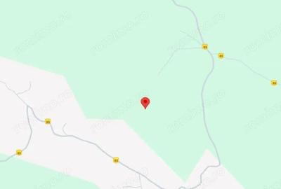 Teren faneata Vizantea Livezi; ID: R2800475 - 3