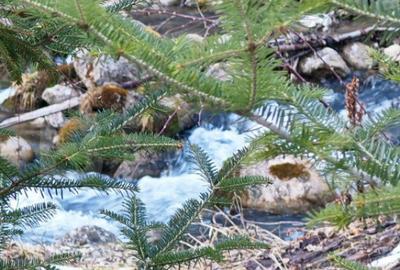 Casa de vacanta de vanzare in Rasnov - Brasov - 15