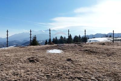 Teren agricol extravilan de 1924 mp, în Șirnea - 5