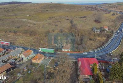 Spațiu comercial, în Păniceni - 2