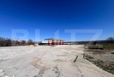 Teren de 12500 mp, în Almăj - 1