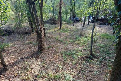 Casă individuală cu 7 camere cu Teren 842 Mp în Naidăș - 22