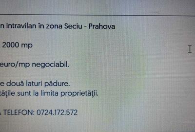 Teren de 2000 mp, în Seciu - 3