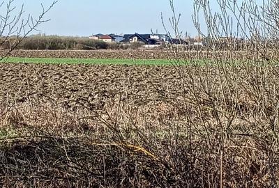 Spațiu comercial, în Central - 11