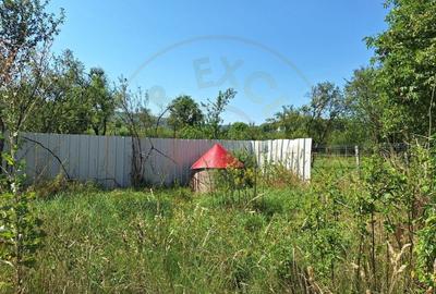 Proprietate industriala de vanzare – Hartiesti, jud. Arges - 3