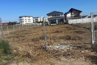 Veterani ,  teren 500 mp - 6