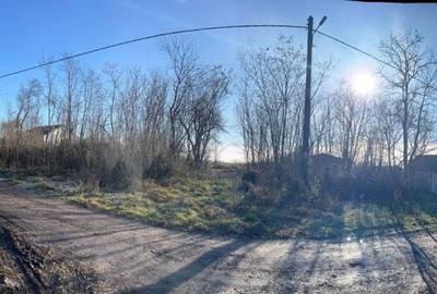 Teren de 3275 mp, în Petrovaselo - 2