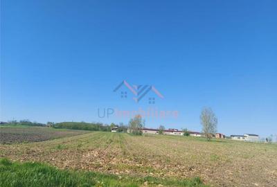 TEREN INTRAVILAN | 4300 MP | HIDISELUL DE SUS | BIHOR - 4