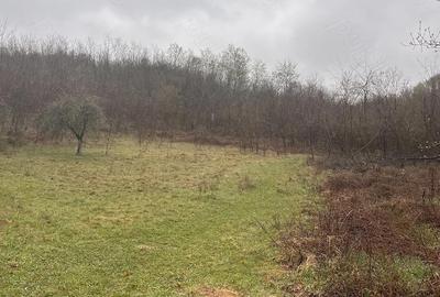 Teren de 2900 mp, în Sintești - 7