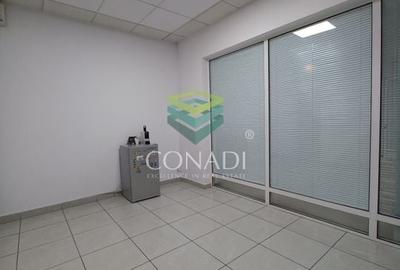 Birou de inchiriat // Domenii // Mihalache - 8