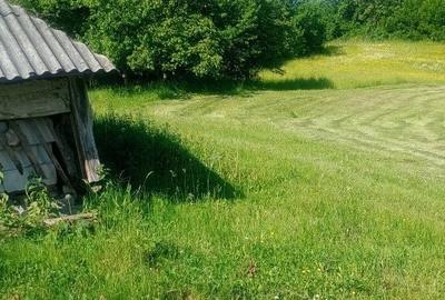 Casă cu 2 camere în Humulești - 4