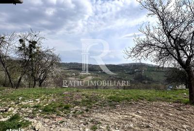 Casă cu 3 camere în Rontău - 19