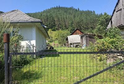 Se vinde proprietate la munte 7594mp - 3